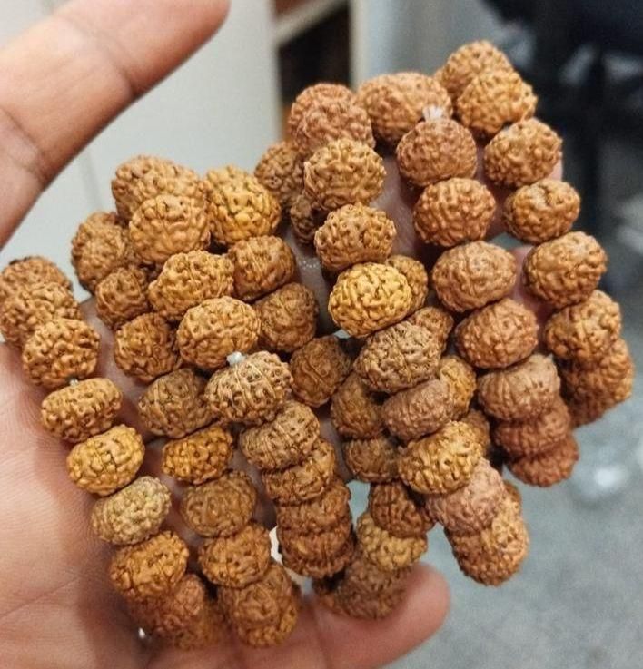 EASY BUY 7 Mukhi Rudraksha Bracelet