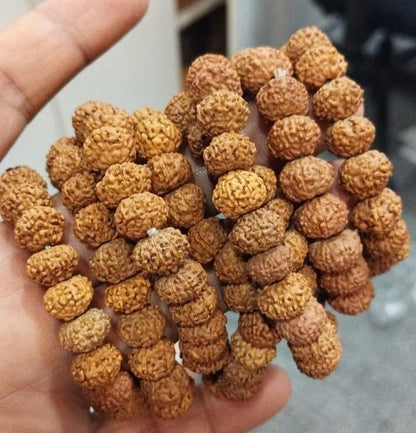 EASY BUY 7 Mukhi Rudraksha Bracelet