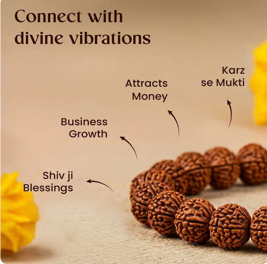 EASY BUY 7 Mukhi Rudraksha Bracelet